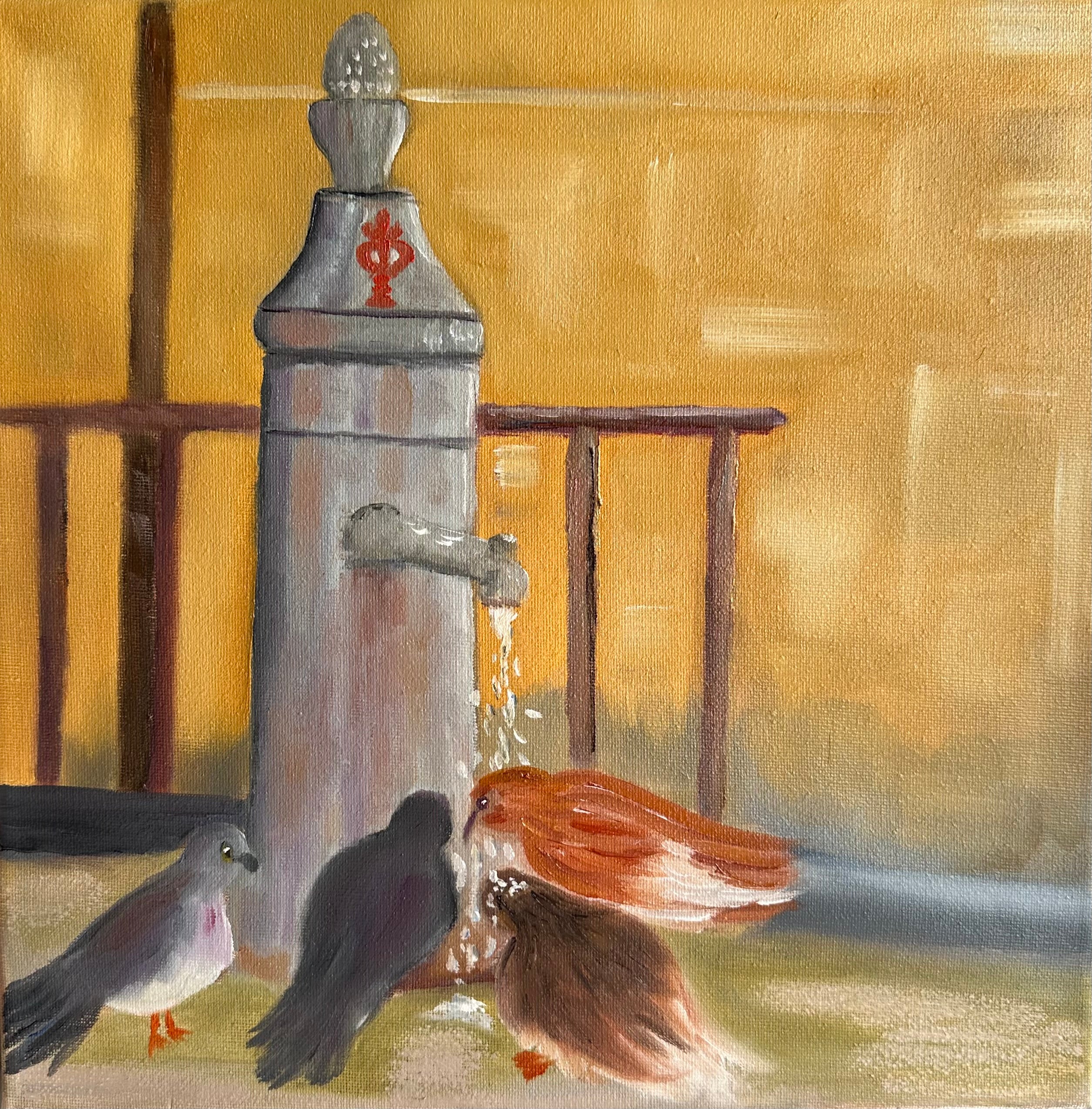Piccioni alla Fontanella